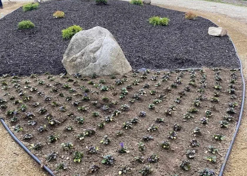 Landscaping and hardscaping project