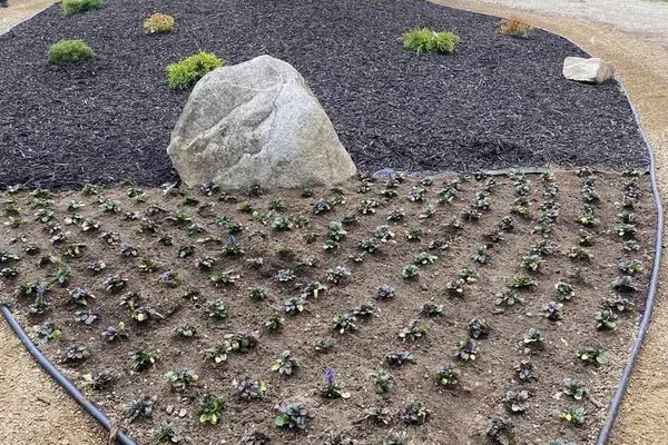 Beautiful landscaped garden