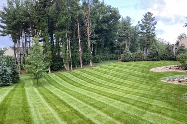 Professional lawn mowing equipment