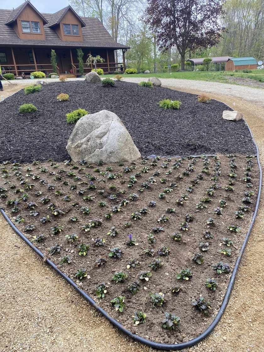 Beautiful landscaped garden